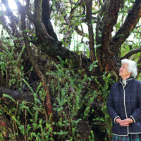 Maria de Lurdes Seixas