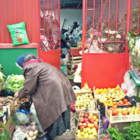 Tia Amélia Tia-Amélia1a